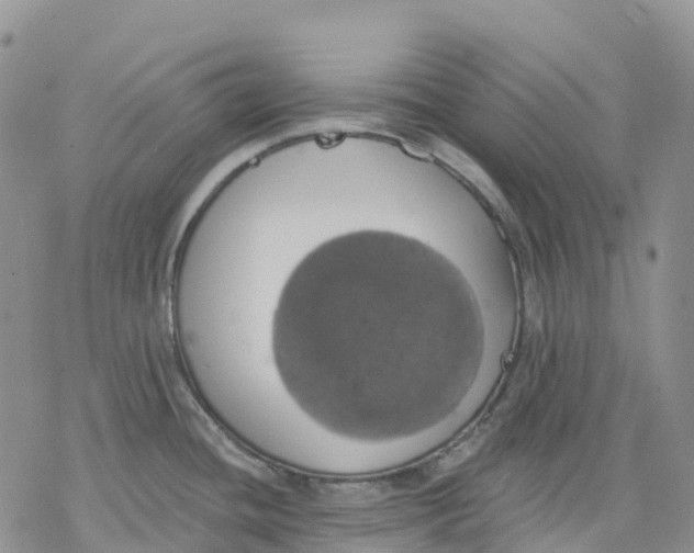 X0000078231436200611251203