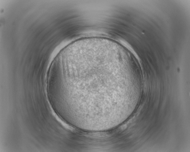 X0000078231437200611251203