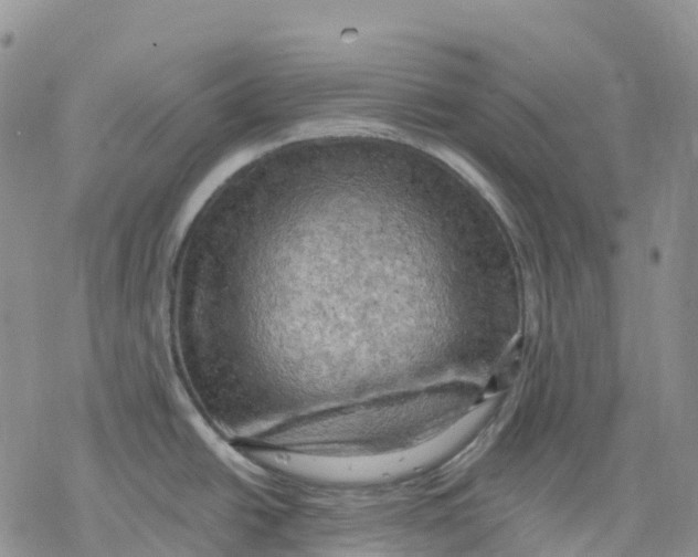 X0000078231438200611251203