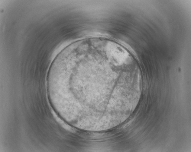 X0000078231439200611251203