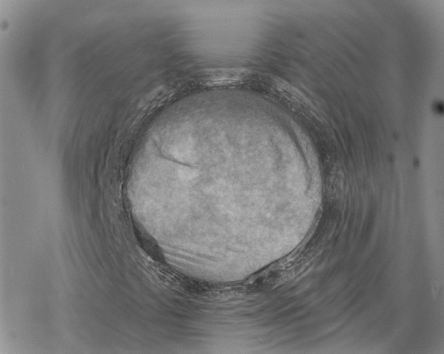 X0000078231441200611251202