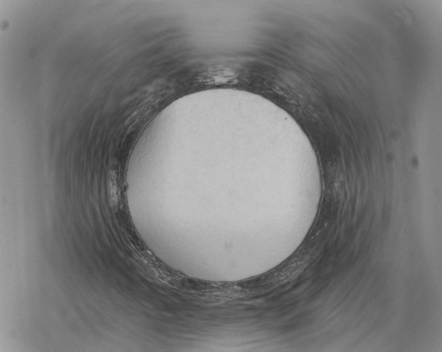 X0000078231442200611251202