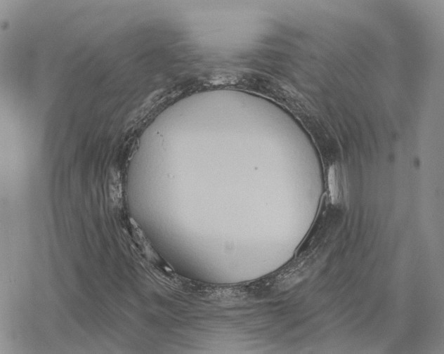 X0000078231443200611251202