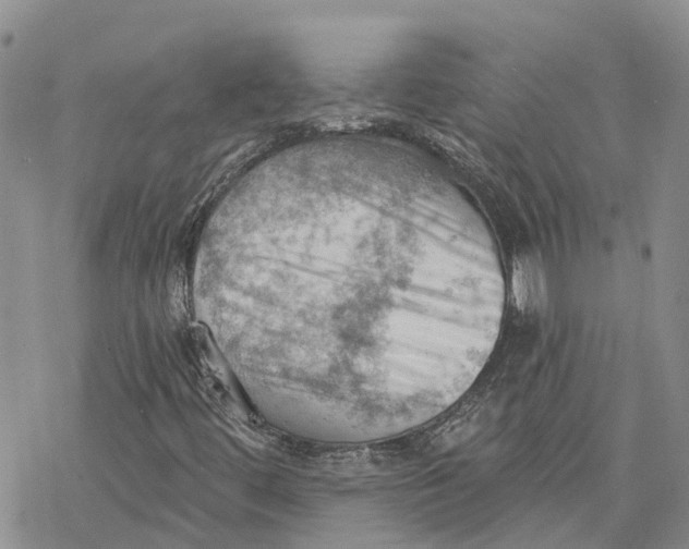 X0000078231444200611251202