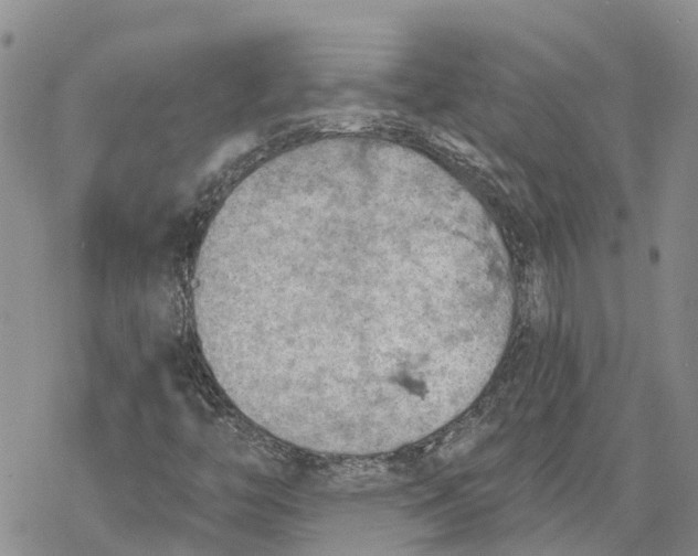 X0000078231446200611251202