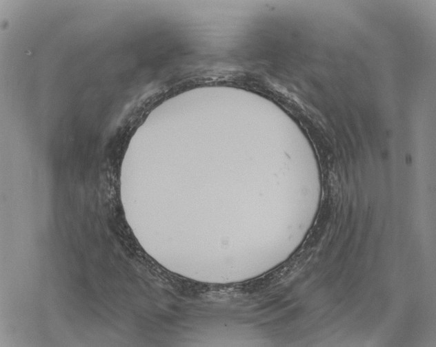 X0000078231447200611251202