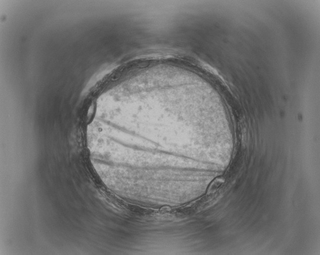 X0000078231448200611251202