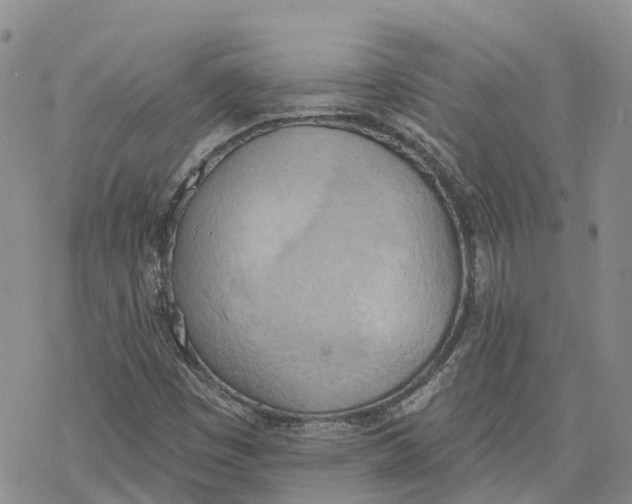 X0000078231449200611251202