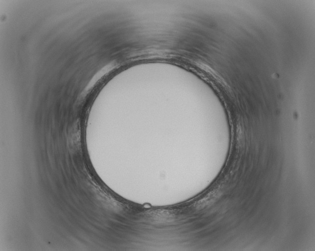 X0000078231450200611251202