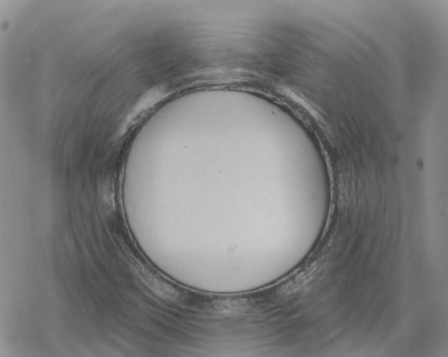 X0000078231451200611251202