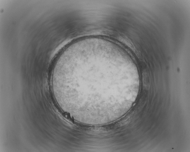 X0000078231452200611251202