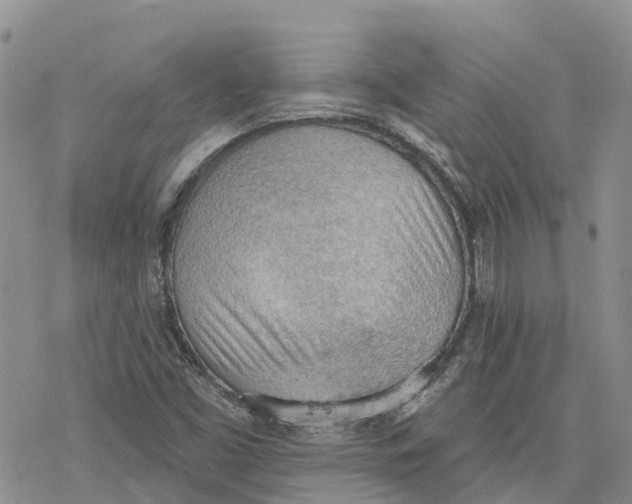 X0000078231453200611251202