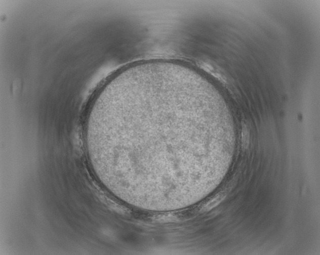 X0000078231454200611251202