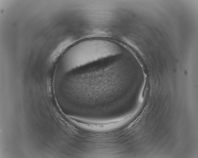 X0000078231455200611251202