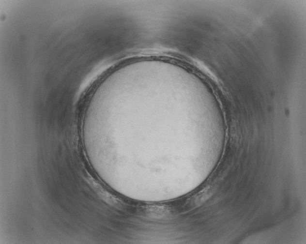 X0000078231456200611251202