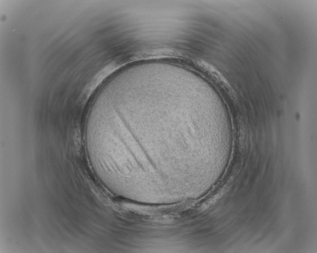 X0000078231457200611251202