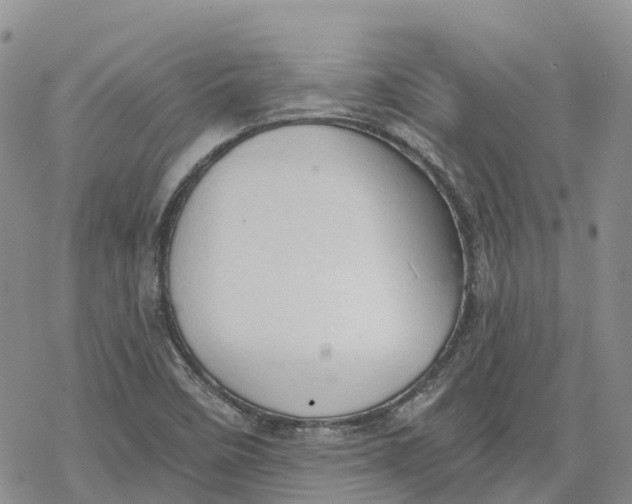 X0000078231458200611251202