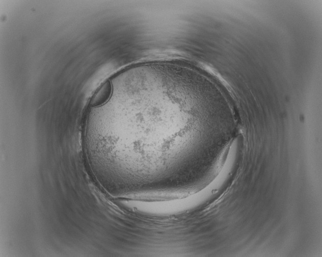 X0000078231459200611251202