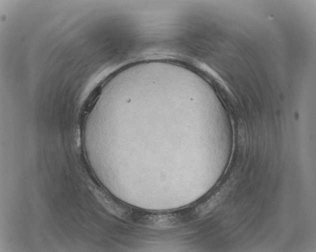 X0000078231461200611251202