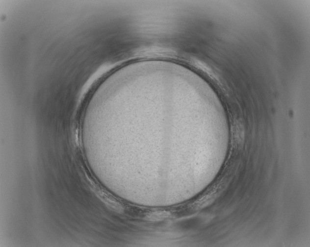 X0000078231462200611251202