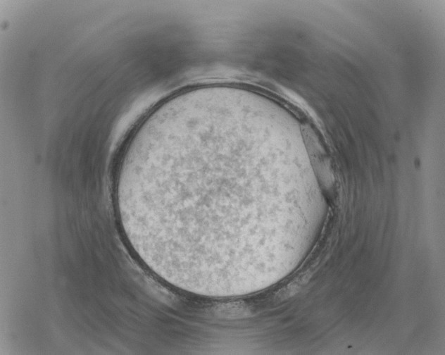 X0000078231464200611251202