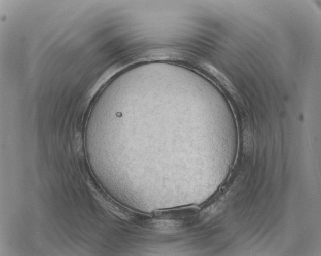 X0000078231465200611251202