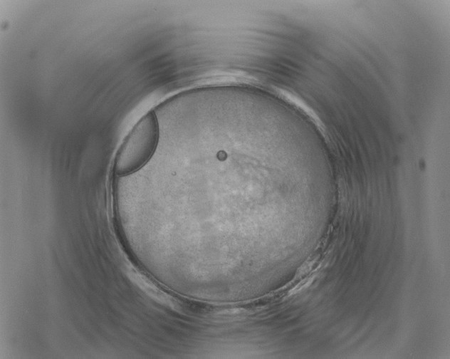 X0000078231467200611251202