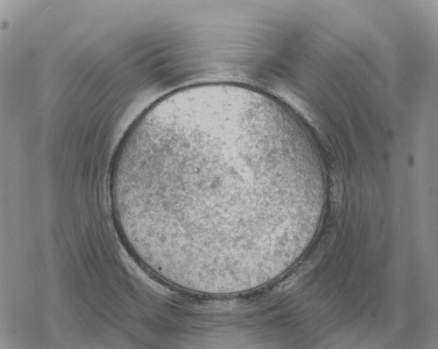 X0000078231468200611251202