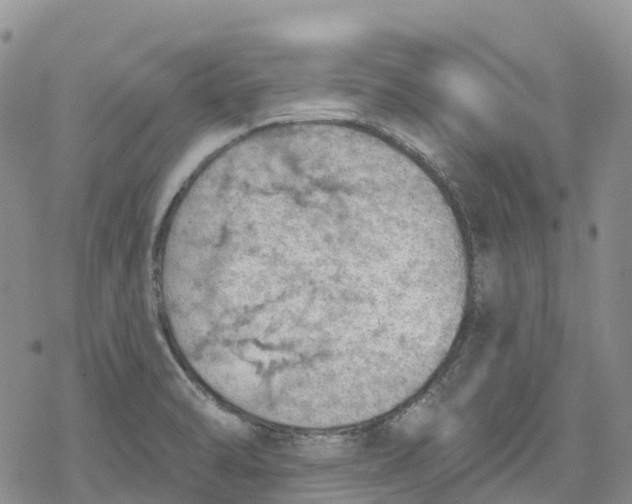 X0000078231470200611251202