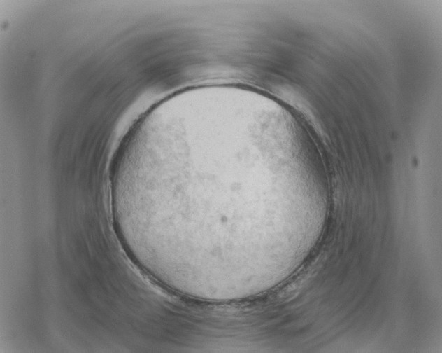 X0000078231472200611251202