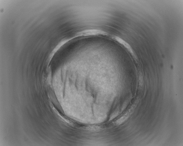 X0000078231473200611251202