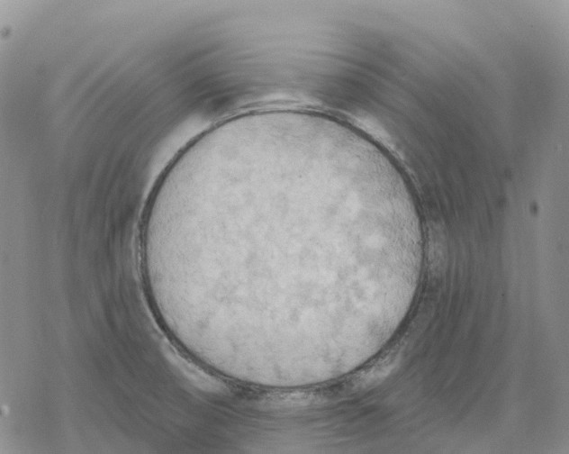 X0000078231474200611251202