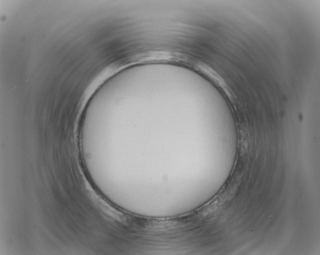 X0000078231475200611251202