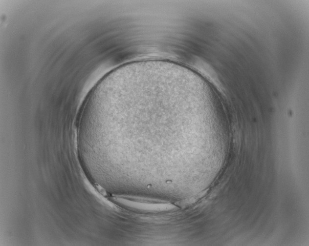 X0000078231476200611251202