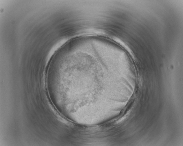 X0000078231477200611251202