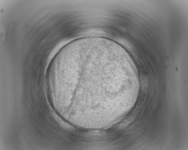 X0000078231478200611251202