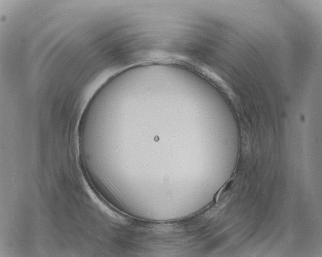 X0000078231479200611251202