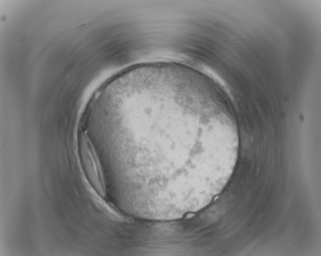 X0000078231480200611251202