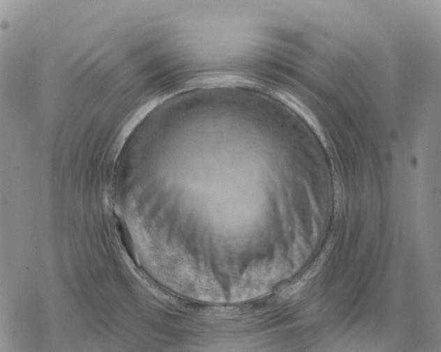 X0000078231481200611251202