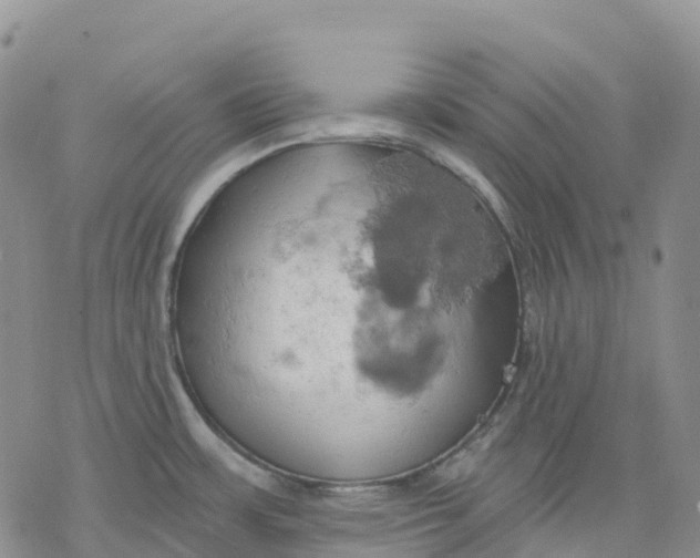 X0000078231483200611251202