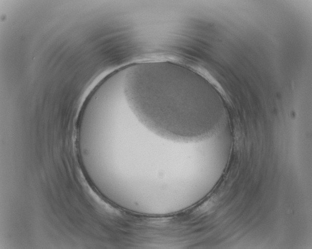 X0000078231484200611251202