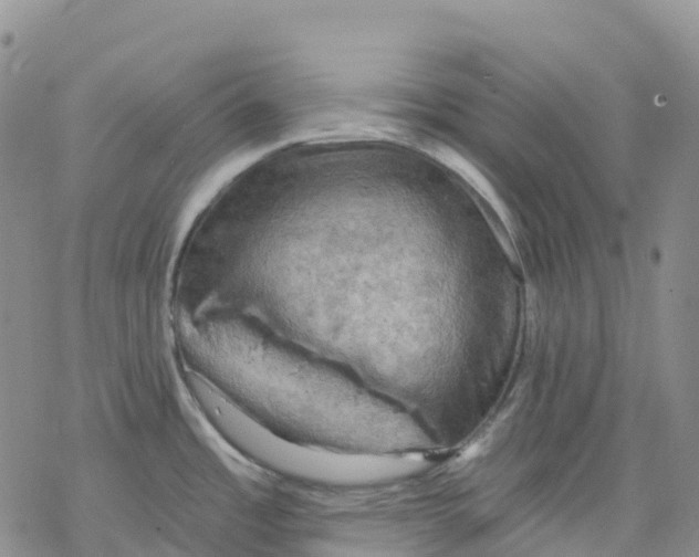 X0000078231485200611251201