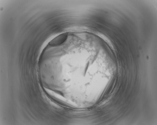 X0000078231486200611251201