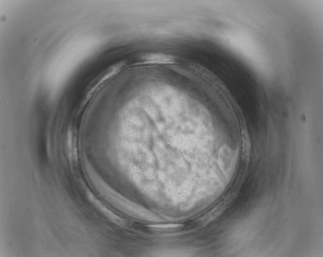 X0000078231487200611251201