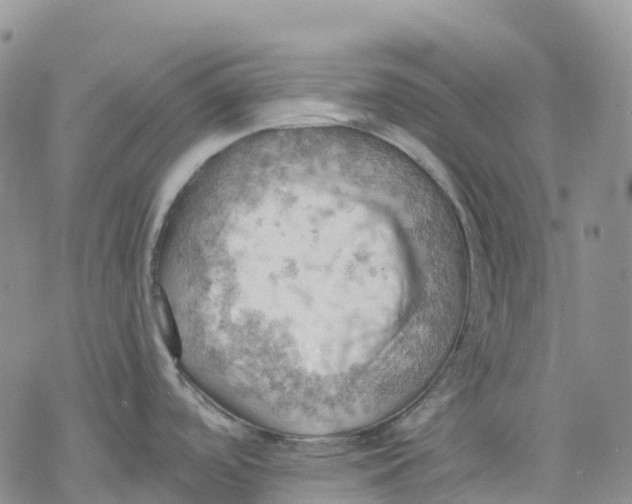 X0000078231488200611251201