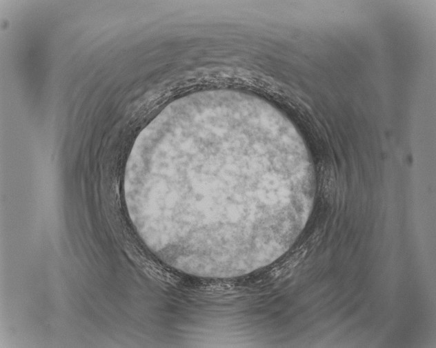 X0000078231489200611251201