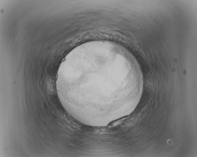 X0000078231490200611251201