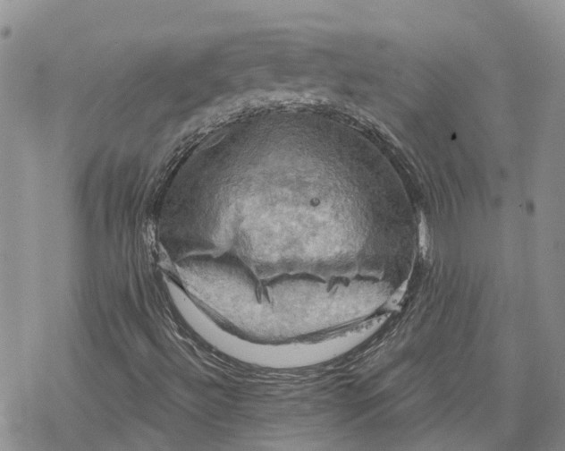 X0000078231492200611251201