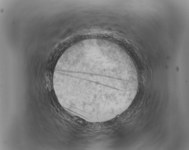 X0000078231493200611251201