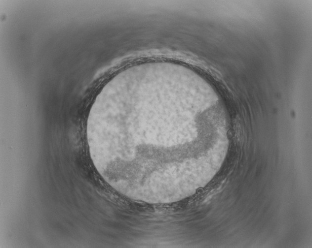 X0000078231494200611251201